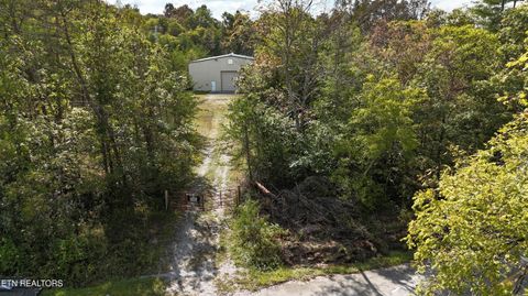 Tiny photo for Reid Watson Rd, Deer Lodge, TN 37726 (MLS # 1316766)