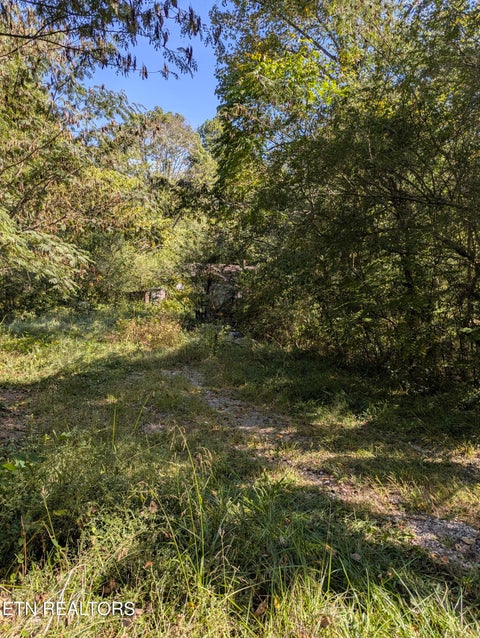 Tiny photo for 528 N 13th St, LaFollette, TN 37766 (MLS # 1357360)