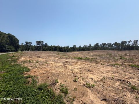 Tiny photo for 288 Government Pond Rd, Jamestown, TN 38556 (MLS # 1349672)