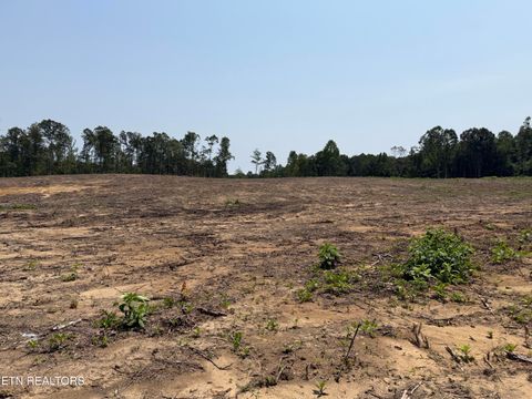 Tiny photo for 288 Government Pond Rd, Jamestown, TN 38556 (MLS # 1349672)