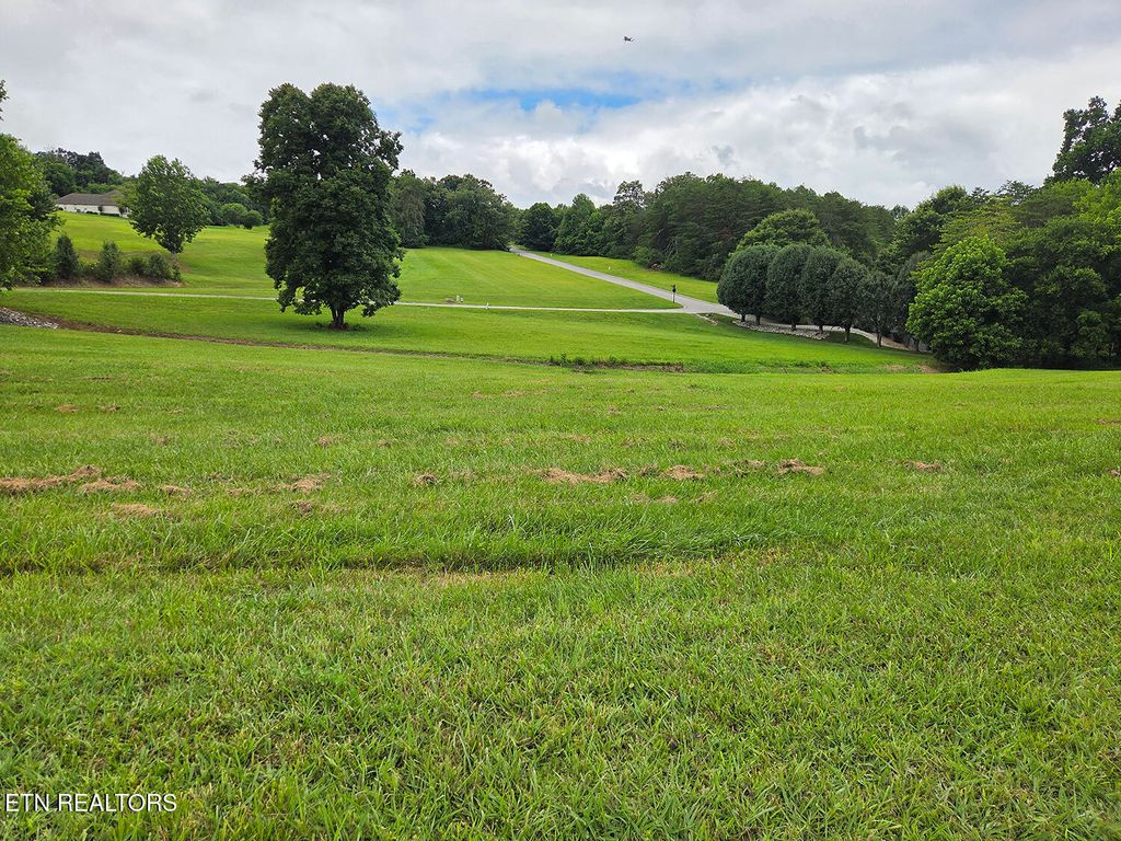 Photo of 600 Wood Duck Drive, Vonore, TN 37885 (MLS # 1347248)