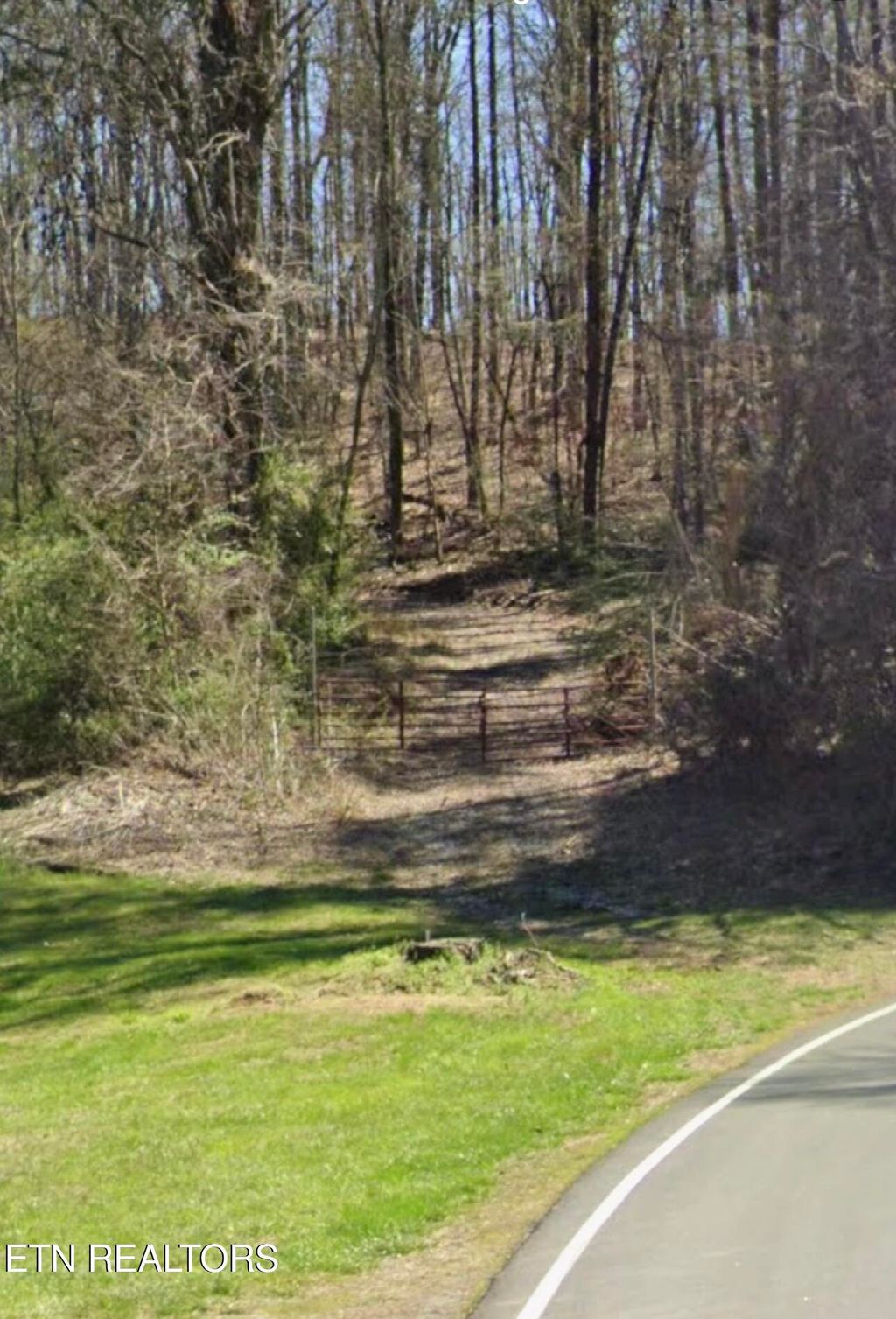 Photo of Beatys Chapel Rd, Tellico Plains, TN 37385 (MLS # 1311771)