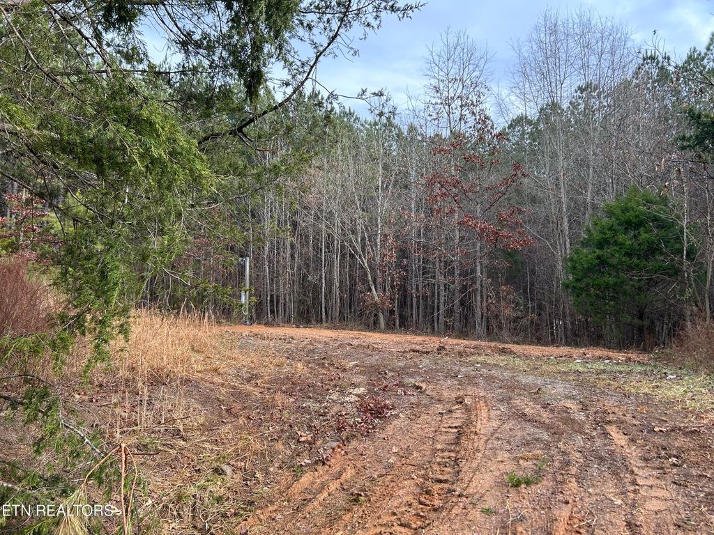 Photo of 286 County Road 285, Niota, TN 37826 (MLS # 1324673)