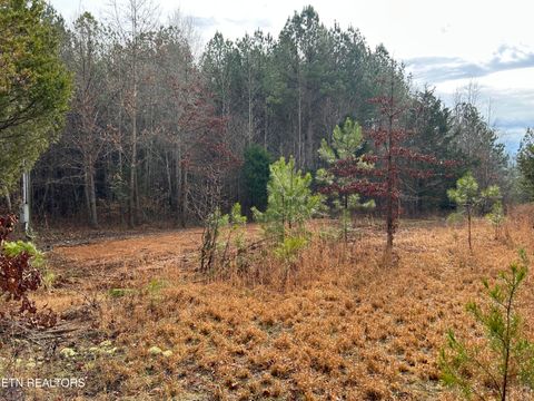 Tiny photo for 286 County Road 285, Niota, TN 37826 (MLS # 1324673)
