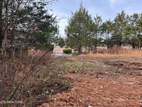 Tiny photo for 286 County Road 285, Niota, TN 37826 (MLS # 1324673)
