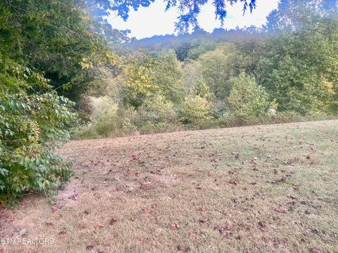 Tiny photo for Freeman Rd, Tazewell, TN 37879 (MLS # 1359342)