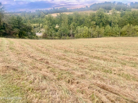Tiny photo for Freeman Rd, Tazewell, TN 37879 (MLS # 1359342)