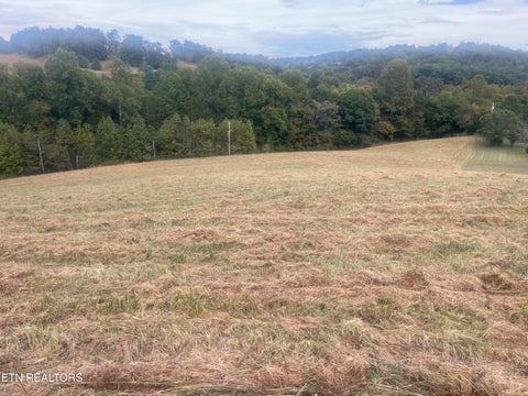 Tiny photo for Freeman Rd, Tazewell, TN 37879 (MLS # 1359342)