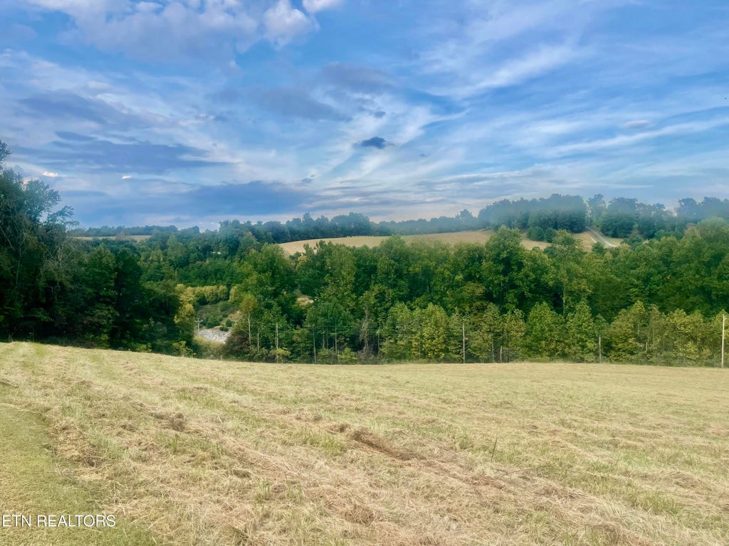 Photo of Freeman Rd, Tazewell, TN 37879 (MLS # 1359342)