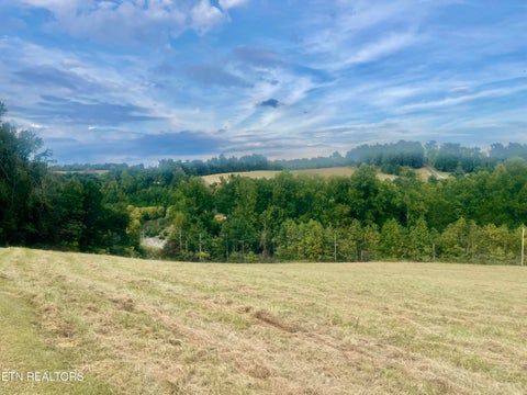 Tiny photo for Freeman Rd, Tazewell, TN 37879 (MLS # 1359342)