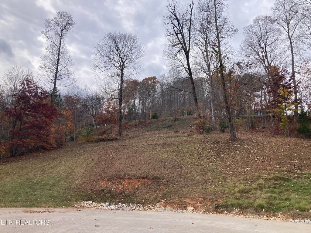 Photo of Lot 234 Suncrest Cove, LaFollette, TN 37766 (MLS # 1323378)