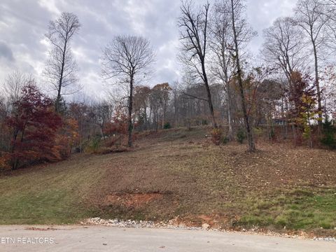 Tiny photo for Lot 234 Suncrest Cove, LaFollette, TN 37766 (MLS # 1323378)