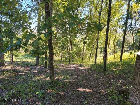 Tiny photo for 272 Spruce Drive, Spring City, TN 37381 (MLS # 1320651)