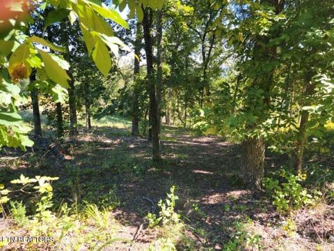 Tiny photo for 272 Spruce Drive, Spring City, TN 37381 (MLS # 1320651)