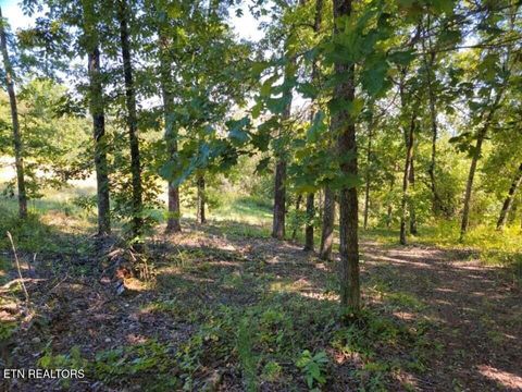 Tiny photo for 272 Spruce Drive, Spring City, TN 37381 (MLS # 1320651)