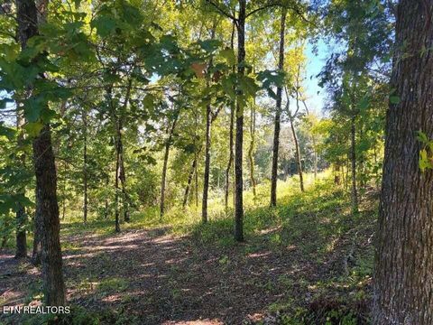 Tiny photo for 272 Spruce Drive, Spring City, TN 37381 (MLS # 1320651)