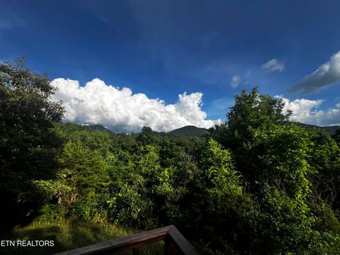 Photo of 420 Blowing Cave Rd, Sevierville, TN 37876 (MLS # 1342728)