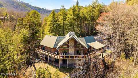 206 Cobblestone Way Townsend TN 37882