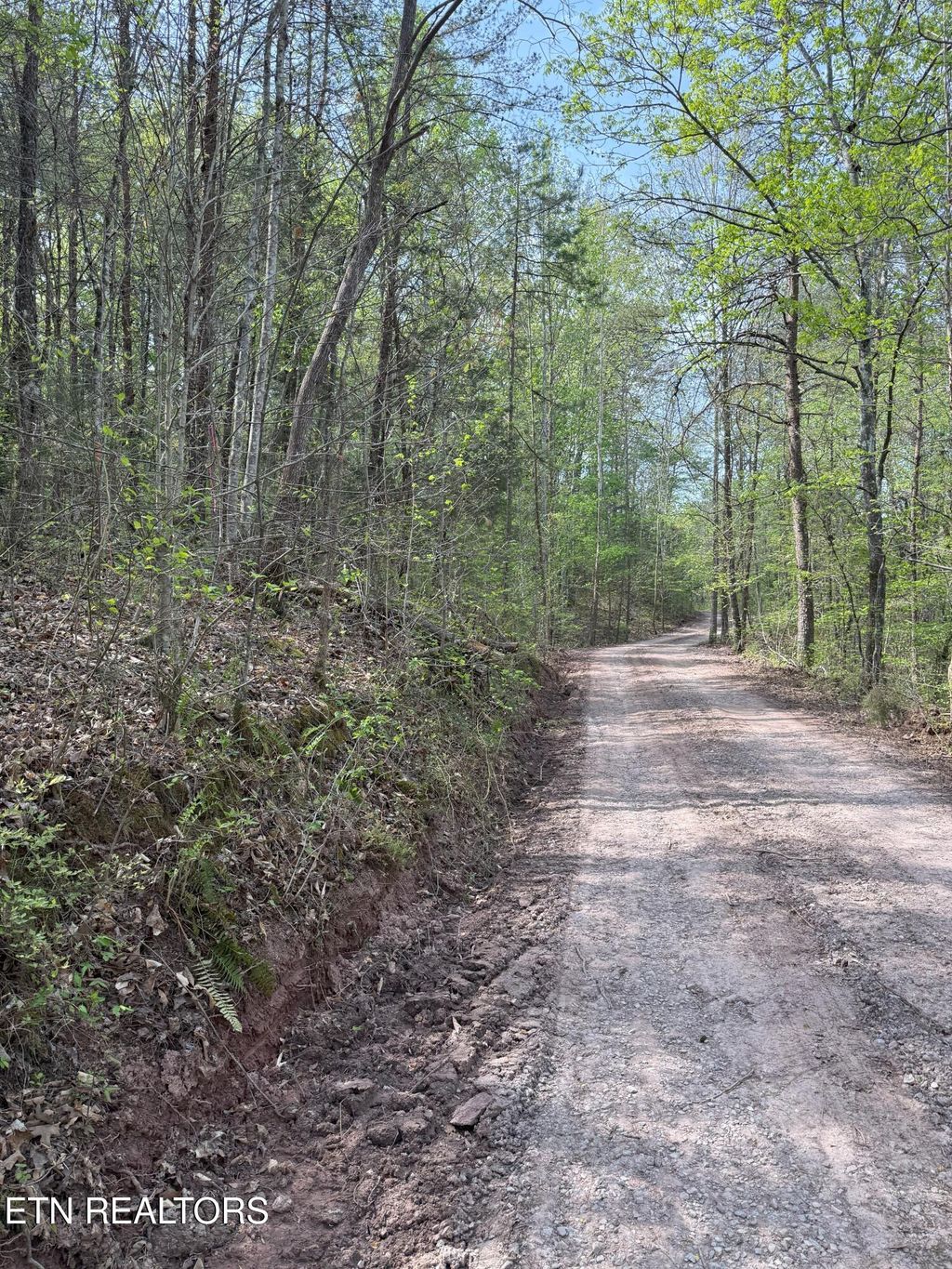 Photo of Citico Rd, Vonore, TN 37885 (MLS # 1298027)