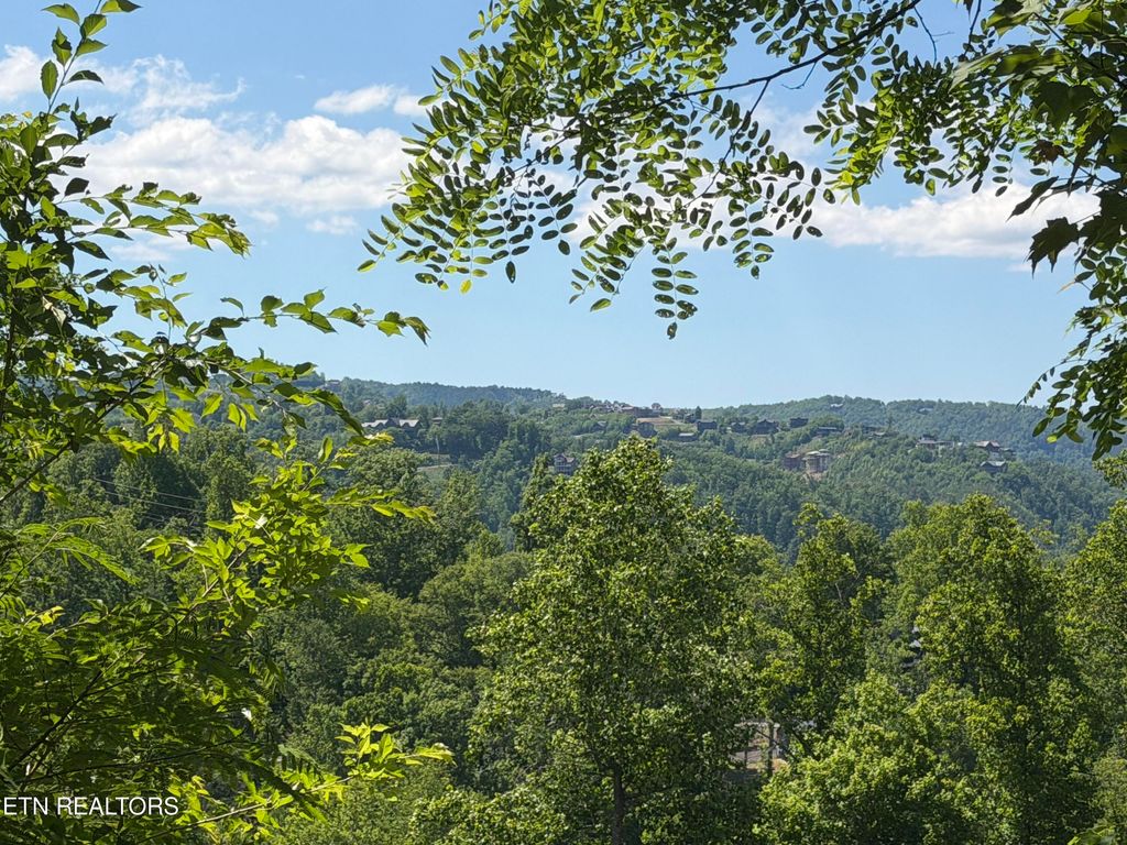 Photo of 411 Abrams Falls Way, Gatlinburg, TN 37738 (MLS # 1341514)