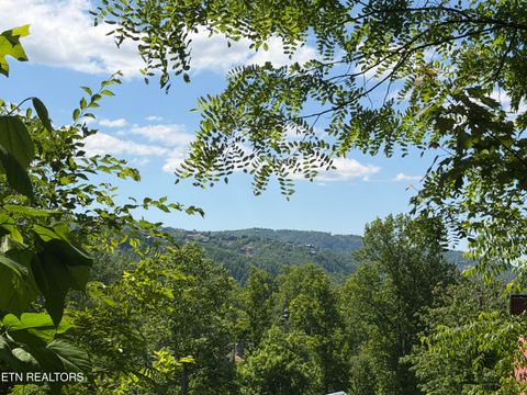 Tiny photo for 411 Abrams Falls Way, Gatlinburg, TN 37738 (MLS # 1341514)