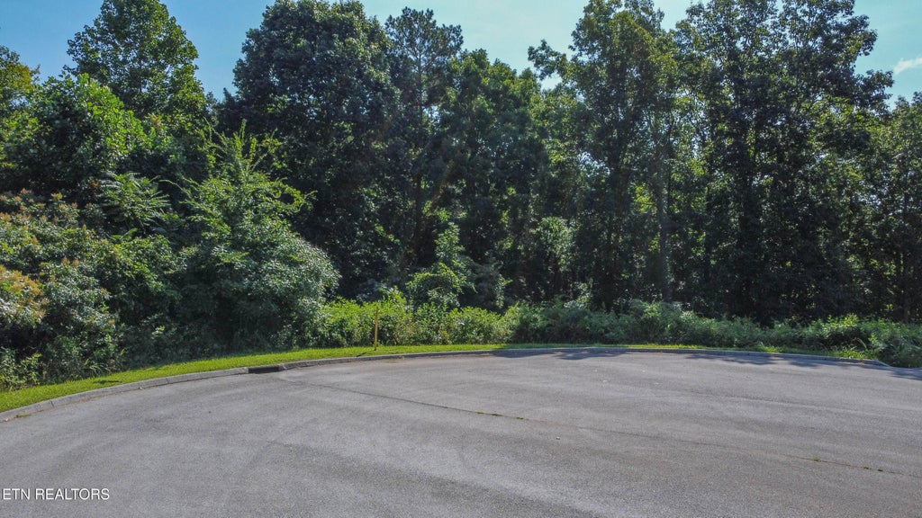 Photo of 163 Highland Reserve Way, Kingston, TN 37763 (MLS # 1349895)