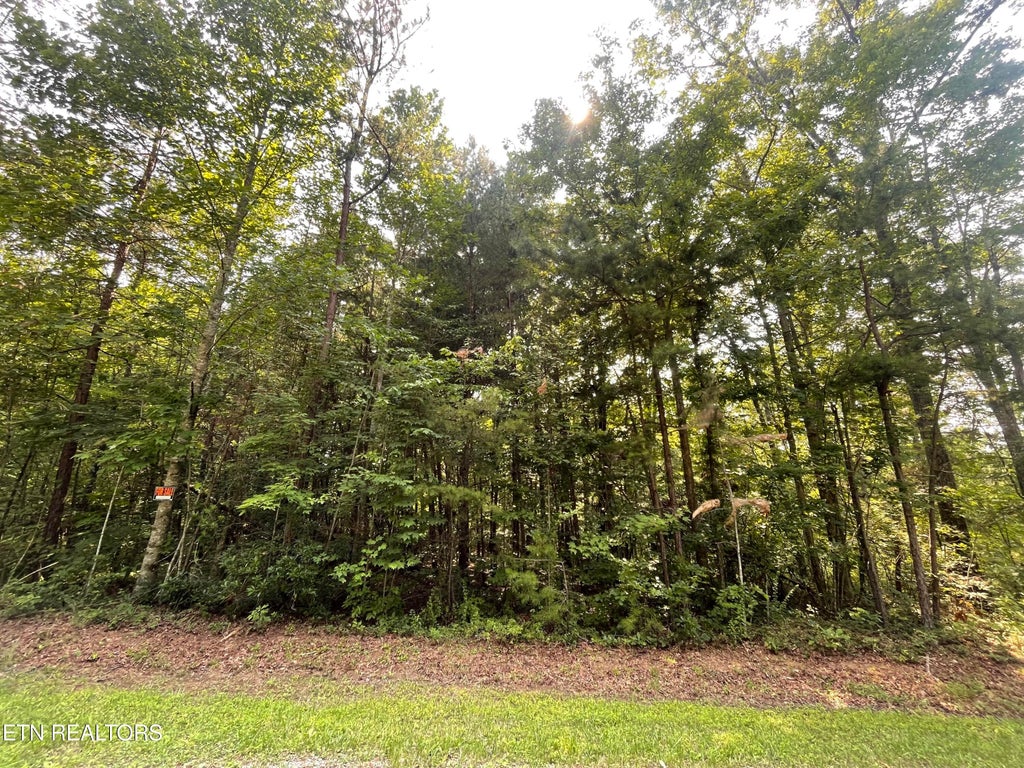 Photo of Kelly Lane, Jamestown, TN 38556 (MLS # 1350362)