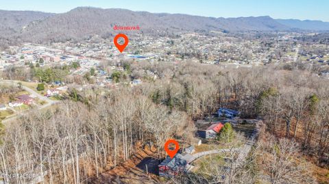 Tiny photo for 310 W Kentucky Ave, LaFollette, TN 37766 (MLS # 1326297)