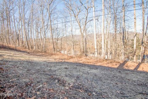 Tiny photo for 310 W Kentucky Ave, LaFollette, TN 37766 (MLS # 1326297)