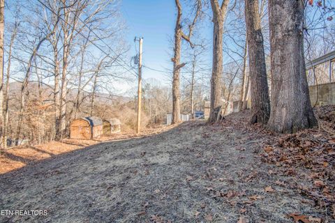 Tiny photo for 310 W Kentucky Ave, LaFollette, TN 37766 (MLS # 1326297)