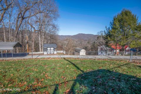 Tiny photo for 310 W Kentucky Ave, LaFollette, TN 37766 (MLS # 1326297)