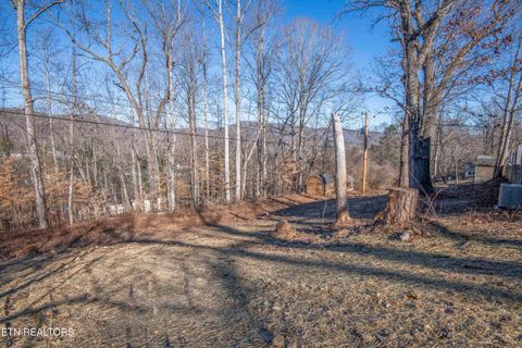 Tiny photo for 310 W Kentucky Ave, LaFollette, TN 37766 (MLS # 1326297)
