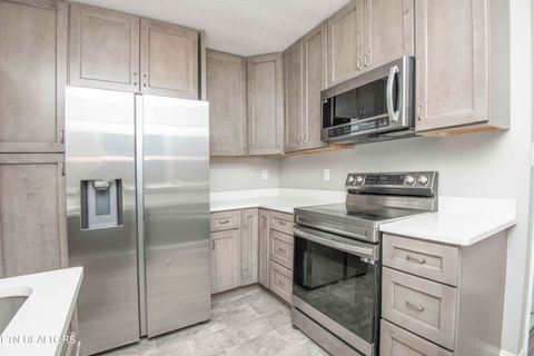 Tiny photo for 310 W Kentucky Ave, LaFollette, TN 37766 (MLS # 1326297)