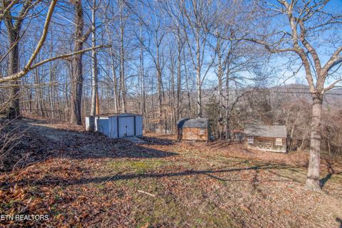 Tiny photo for 310 W Kentucky Ave, LaFollette, TN 37766 (MLS # 1326297)