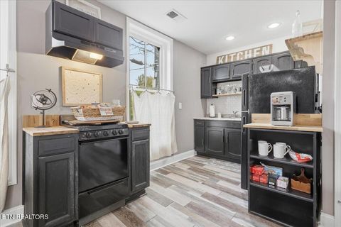 Tiny photo for 147 E Main St, Dandridge, TN 37725 (MLS # 1318213)