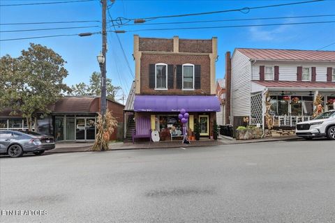 Tiny photo for 147 E Main St, Dandridge, TN 37725 (MLS # 1318213)