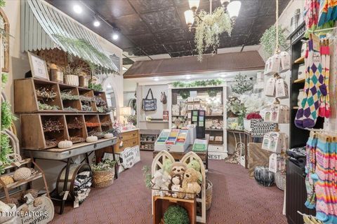 Tiny photo for 147 E Main St, Dandridge, TN 37725 (MLS # 1318213)