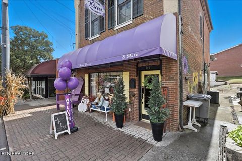 Tiny photo for 147 E Main St, Dandridge, TN 37725 (MLS # 1318213)