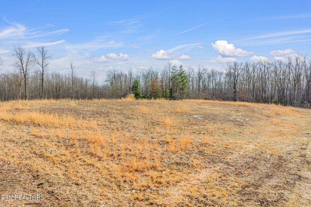 Photo of 3835 Millstone Mountain Rd, Rockwood, TN 37854 (MLS # 1328114)