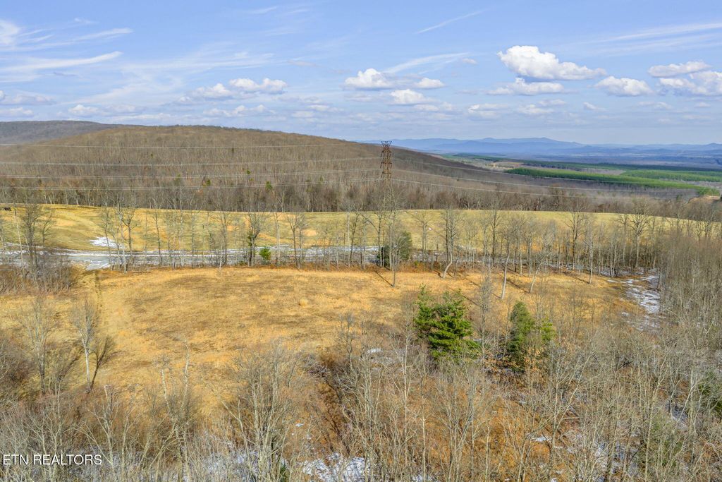 Photo of 3835 Millstone Mountain Rd, Rockwood, TN 37854 (MLS # 1328114)