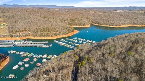 Tiny photo for Shanghai Landing Lane, LaFollette, TN 37766 (MLS # 1326381)