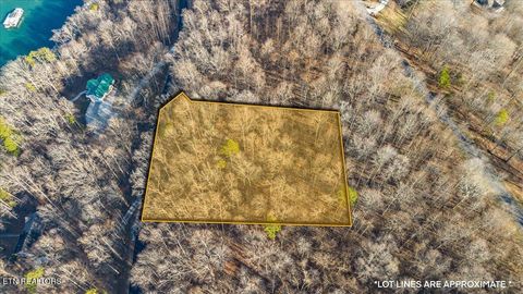 Tiny photo for Shanghai Landing Lane, LaFollette, TN 37766 (MLS # 1326381)