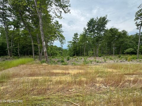Photo of Sheep Ranch Rd, Robbins, TN 37852 (MLS # 1341847)