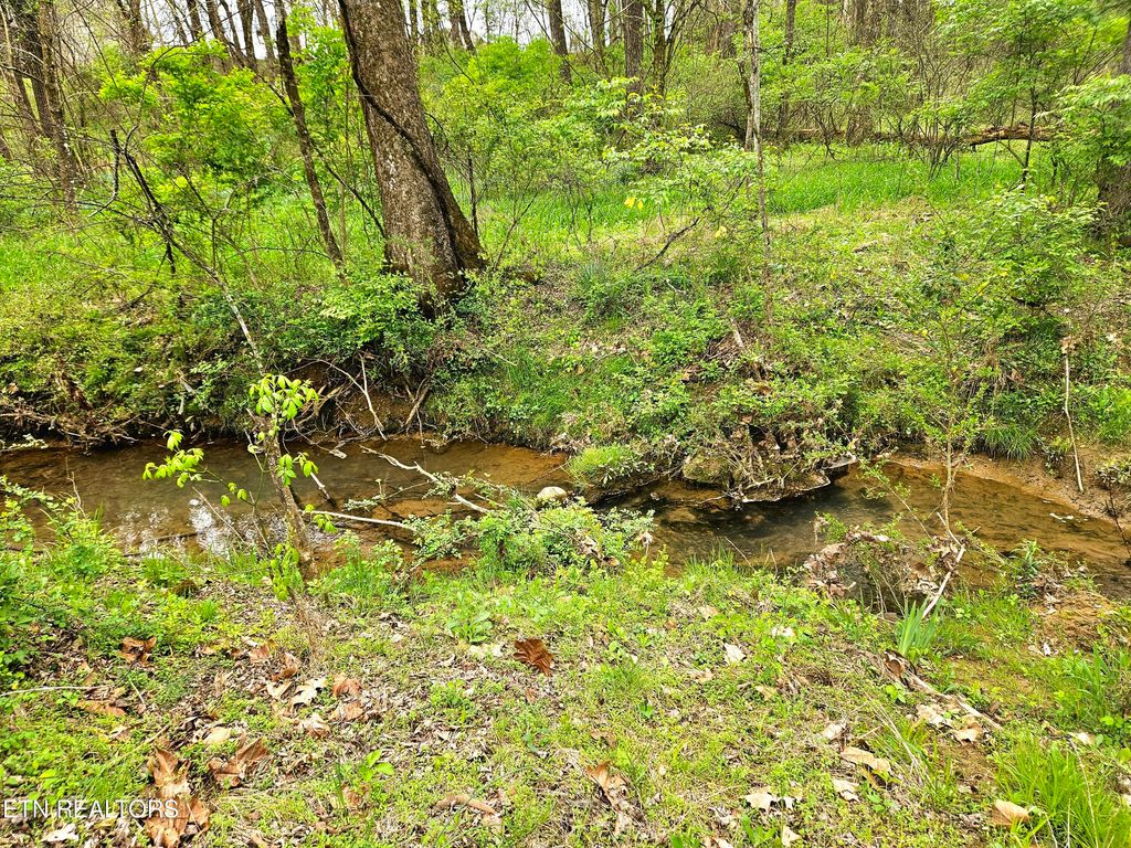 Photo of 614 Winding Creek Way, Walland, TN 37886 (MLS # 1258373)