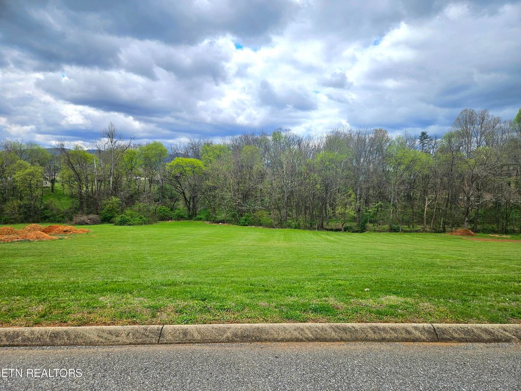 Photo of 614 Winding Creek Way, Walland, TN 37886 (MLS # 1258373)