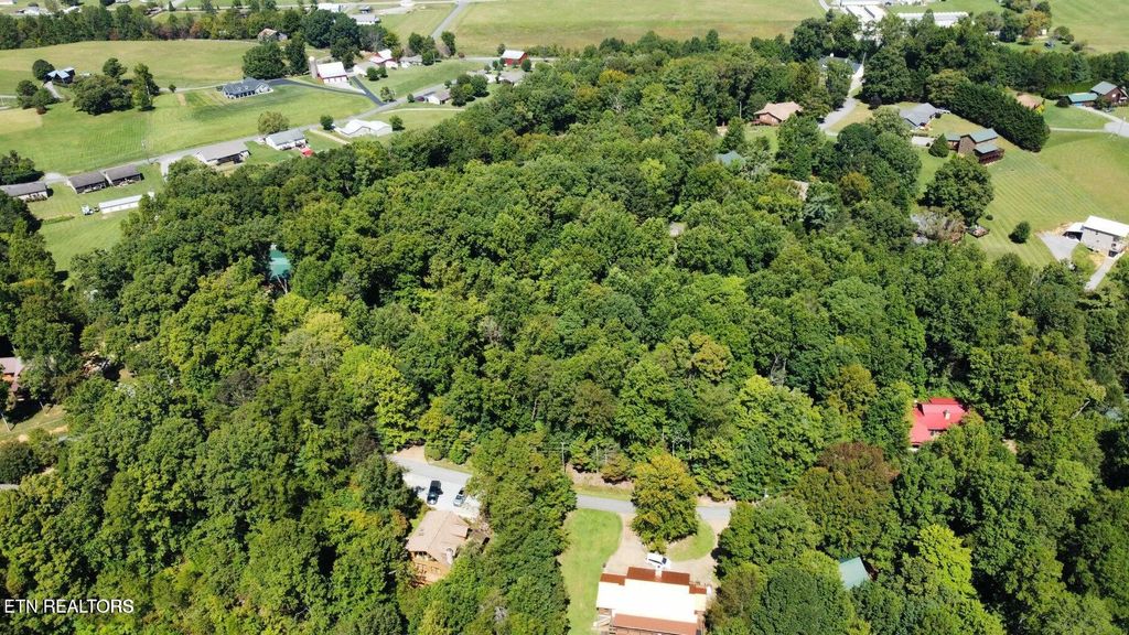 Photo of 6 Saddle Brook Way, Sevierville, TN 37862 (MLS # 1334211)