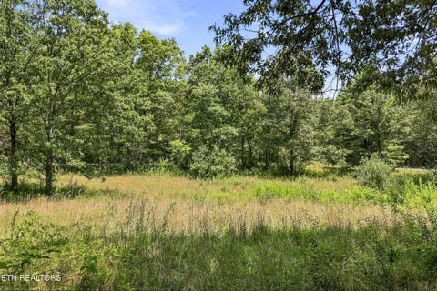 Tiny photo for 638 Crestview Loop, Crossville, TN 38571 (MLS # 1349945)