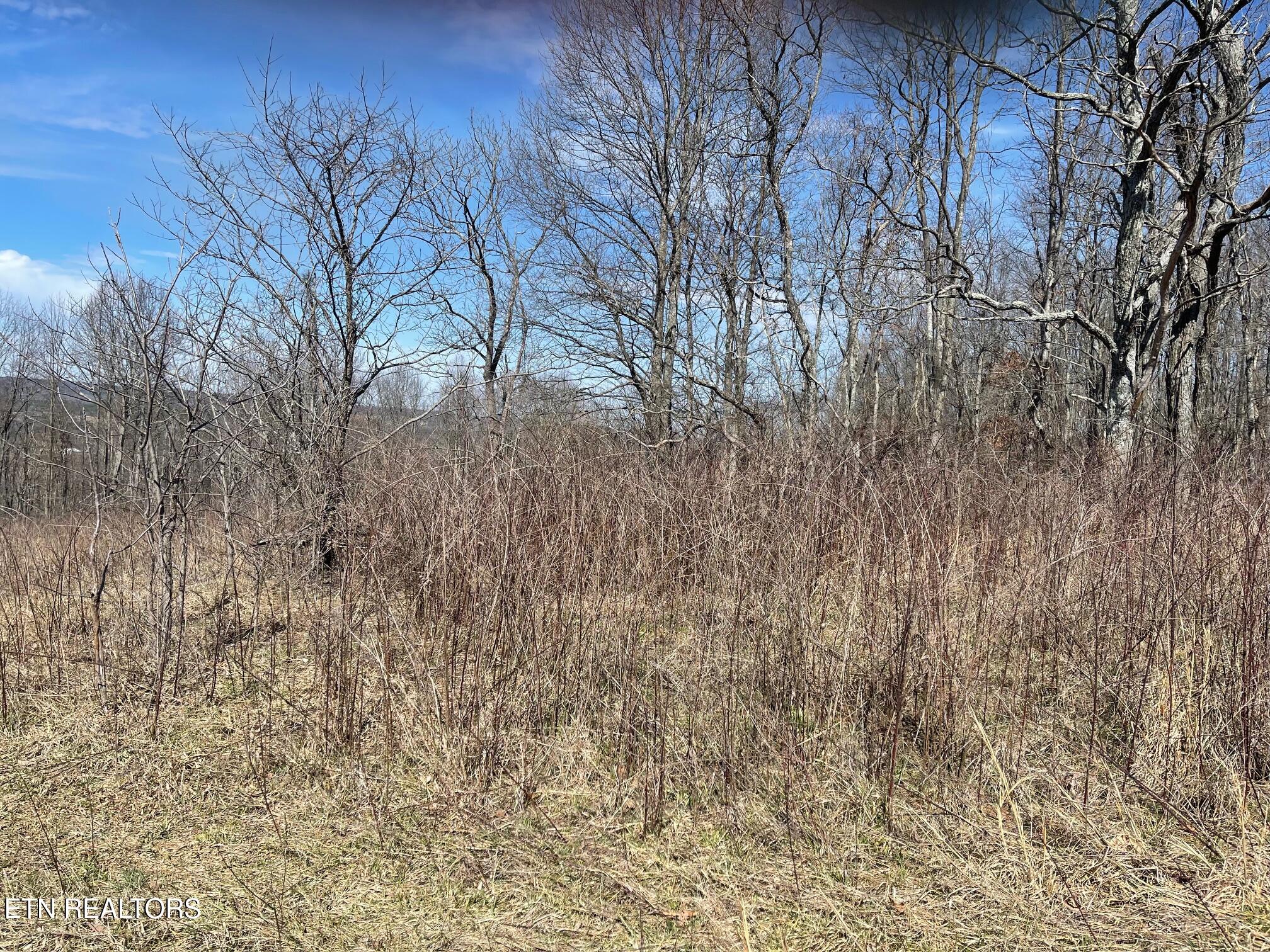 448 Otis Davis Rd