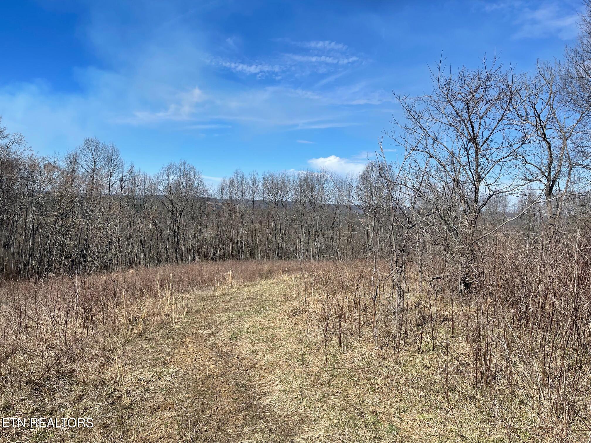 448 Otis Davis Rd