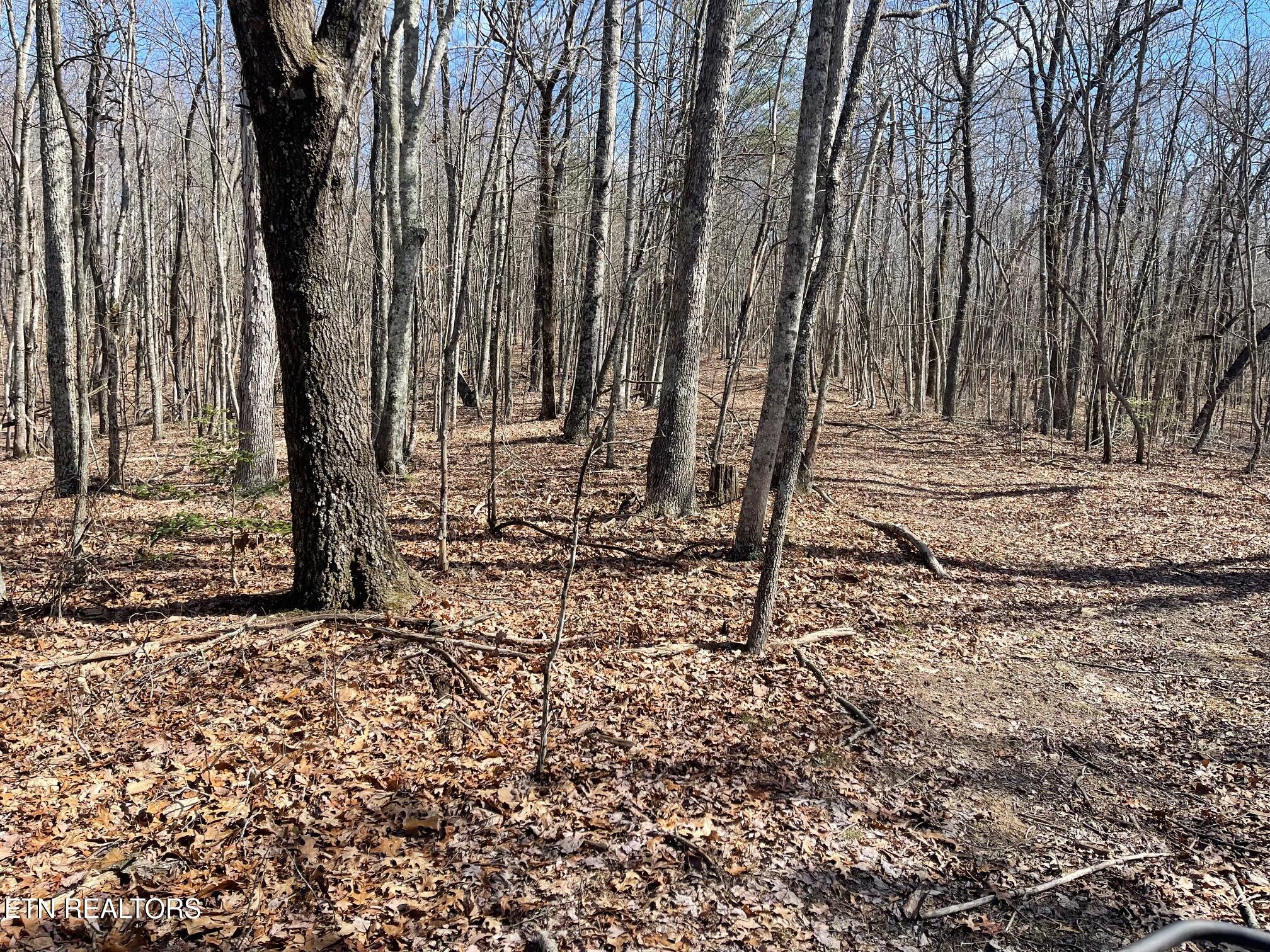 448 Otis Davis Rd